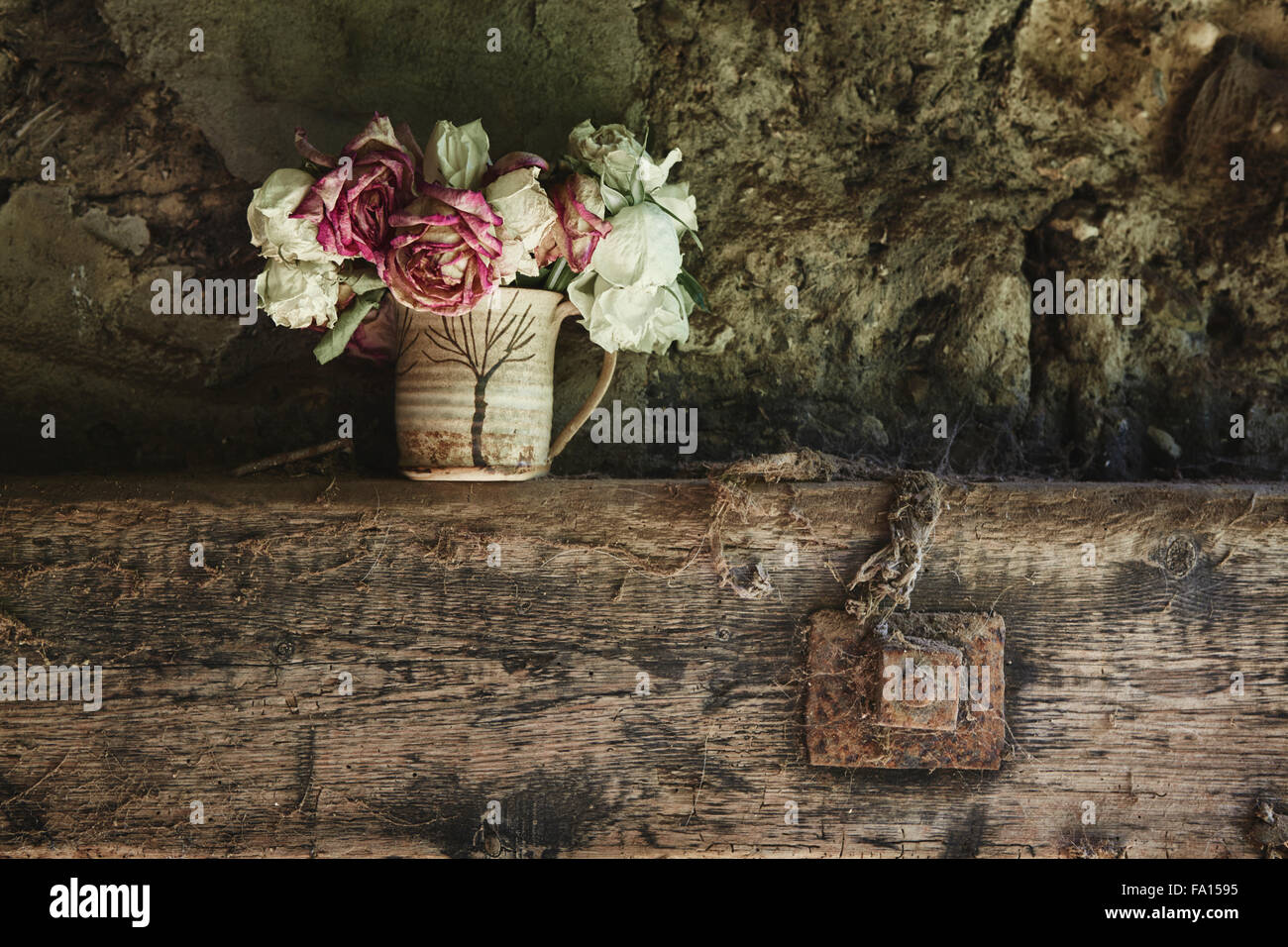 Rose sbiadita fotografato in un grungy impostazione Foto Stock