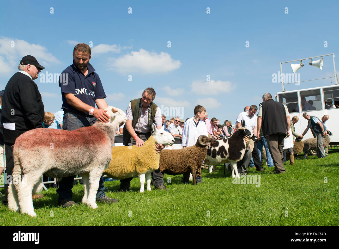 Giudicare la razza montane campionato a Westmorland County Show, Cumbria, Regno Unito Foto Stock