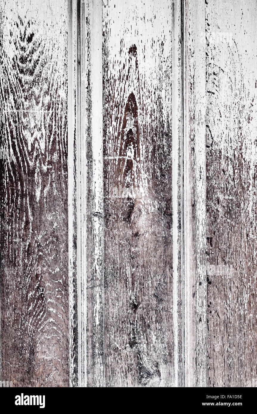 Unico pannello in legno texture di sfondo e di primo piano vuoto neat Foto Stock