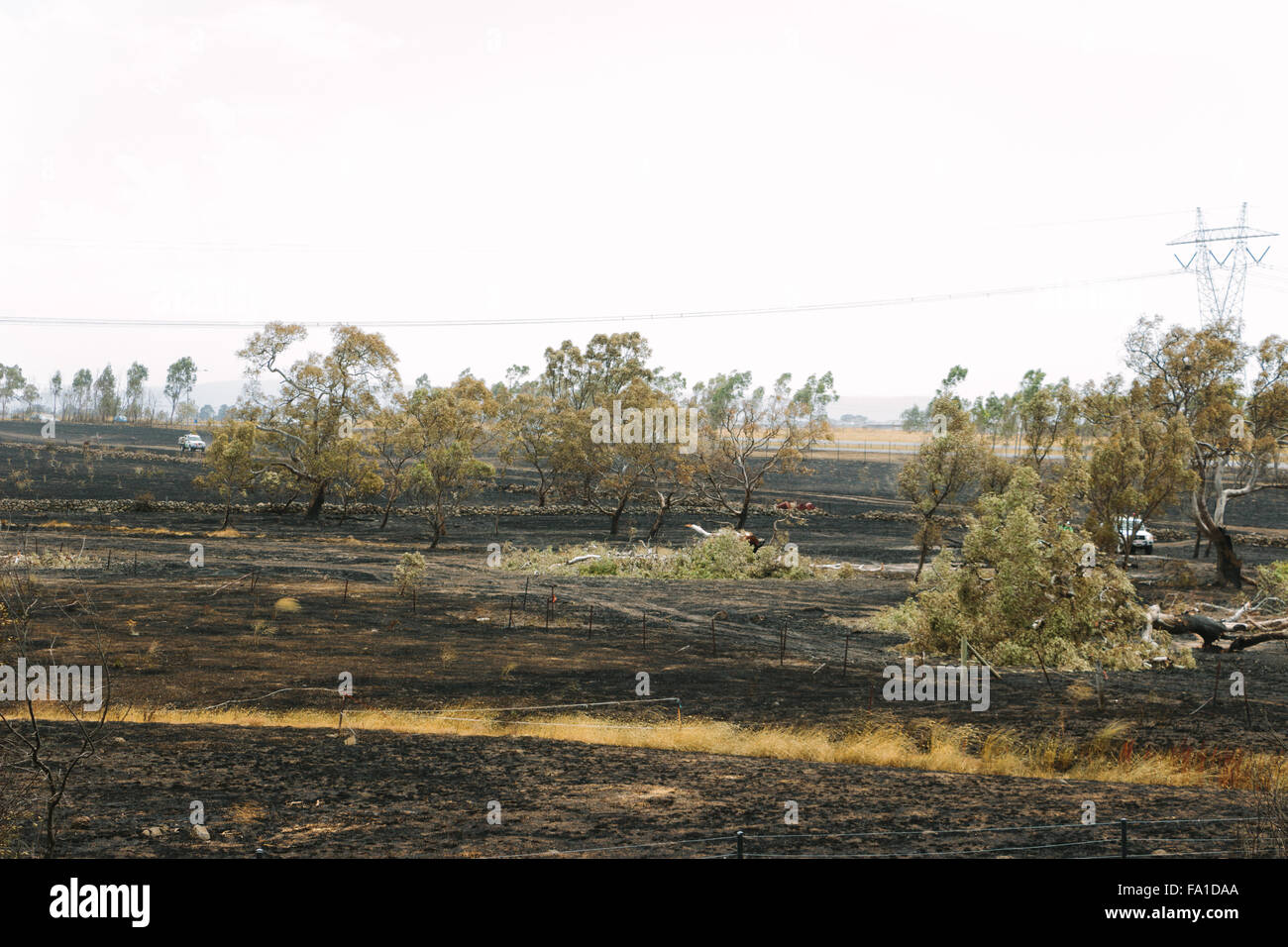 EPPING, Australia - 20 dicembre 2015: Un giorno dopo gli incendi spazzato attraverso Epping in Melbourne, CFA Fire equipaggi pattugliano la zona per spot incendi in Melbourne subito è il giorno più caldo in dicembre di colpire 45 gradi C. Foto Stock