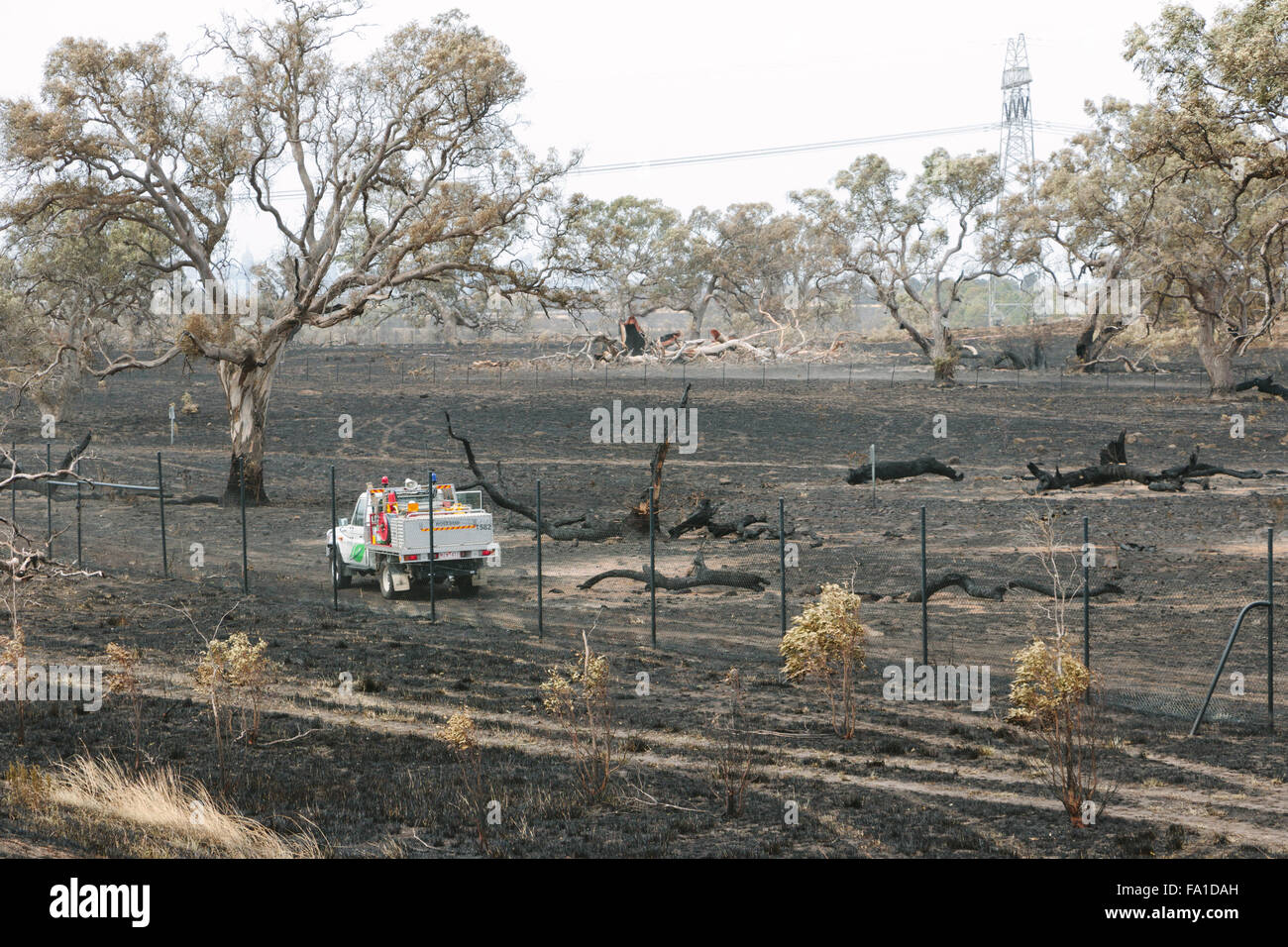 EPPING, Australia - 20 dicembre 2015: Un giorno dopo gli incendi spazzato attraverso Epping in Melbourne, CFA Fire equipaggi pattugliano la zona per spot incendi in Melbourne subito è il giorno più caldo in dicembre di colpire 45 gradi C. Foto Stock