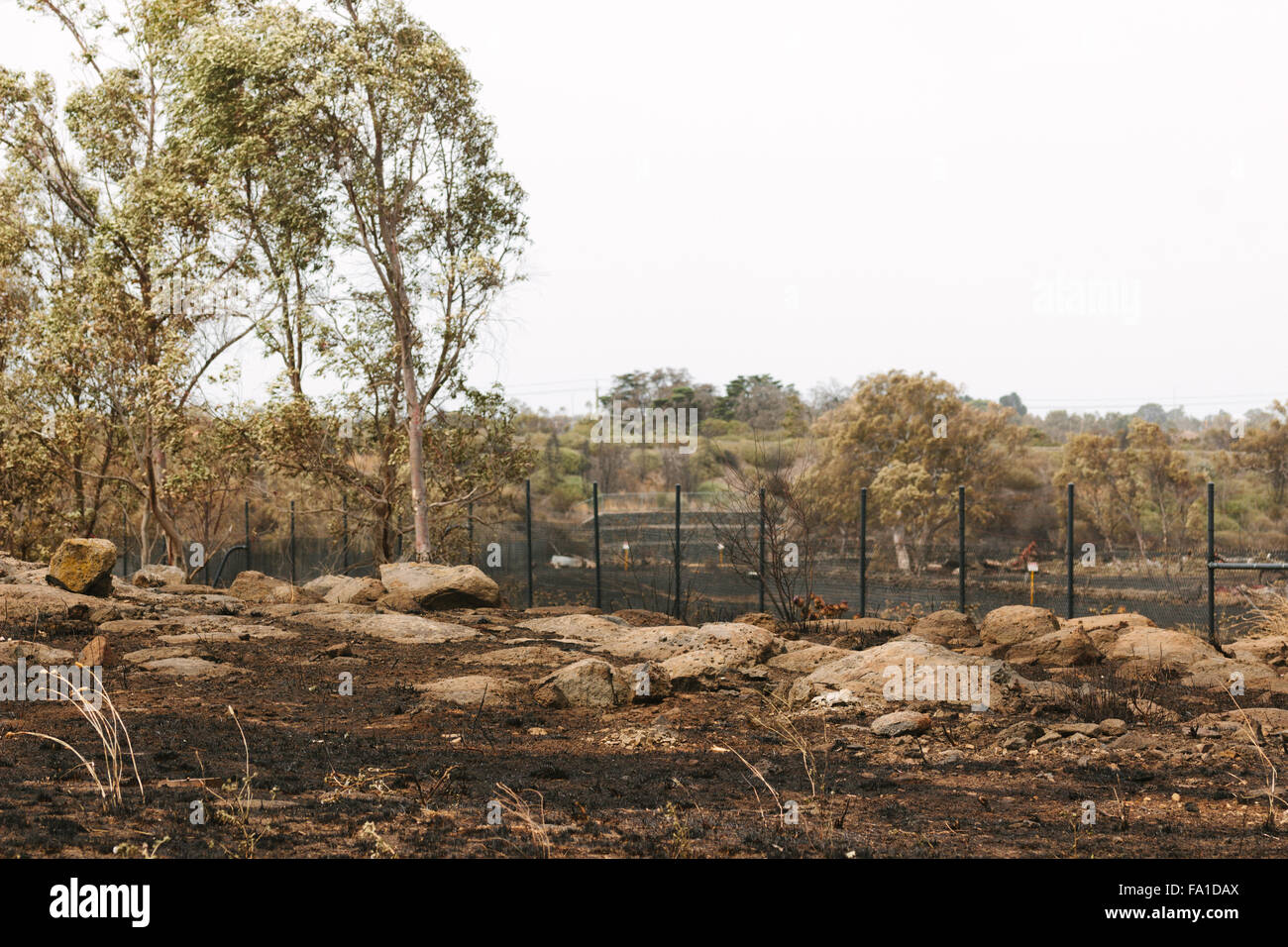 EPPING, Australia - 20 dicembre 2015: Un giorno dopo gli incendi spazzato attraverso Epping in Melbourne, CFA Fire equipaggi pattugliano la zona per spot incendi in Melbourne subito è il giorno più caldo in dicembre di colpire 45 gradi C. Foto Stock