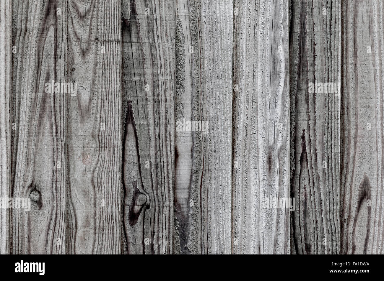 Unico pannello in legno texture di sfondo e di primo piano vuoto Foto Stock