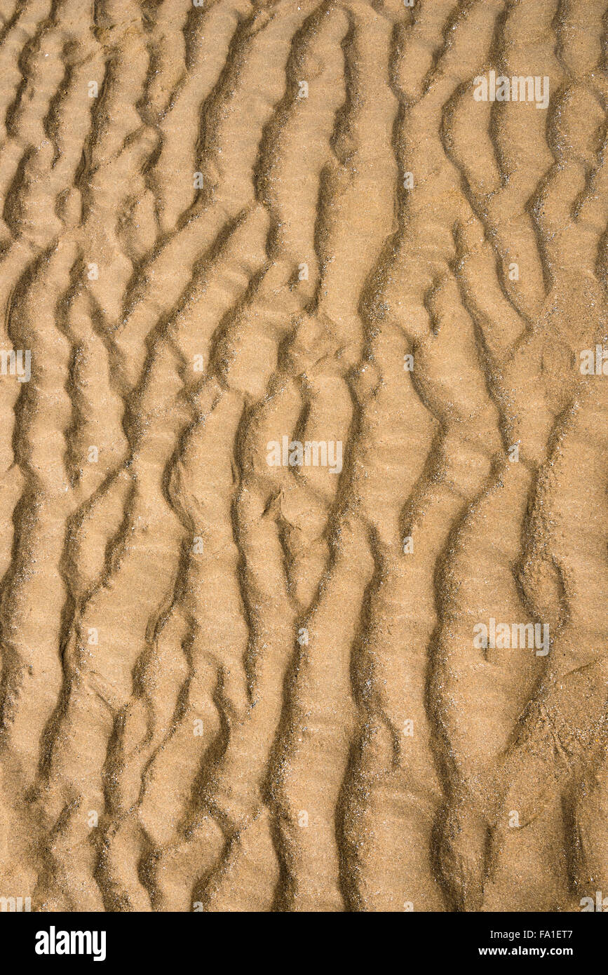Spiaggia di sabbia full frame sfondo texture forma naturale composizione verticale Foto Stock