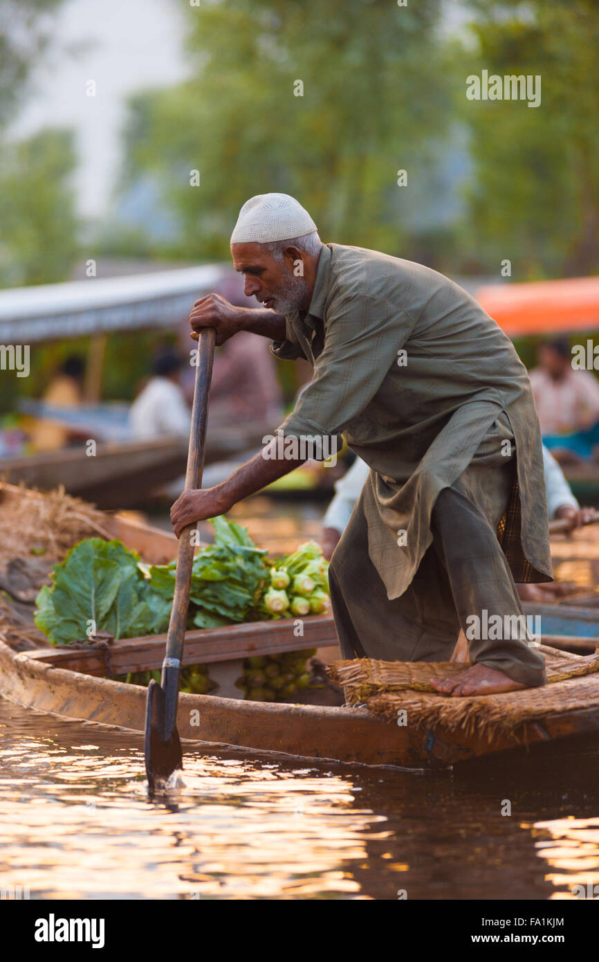 Un uomo del Kashmir a remi in barca shikara in piedi dopo l'acquisto di verdura alla mattina mercato galleggiante su dal lago in Srinagar Foto Stock