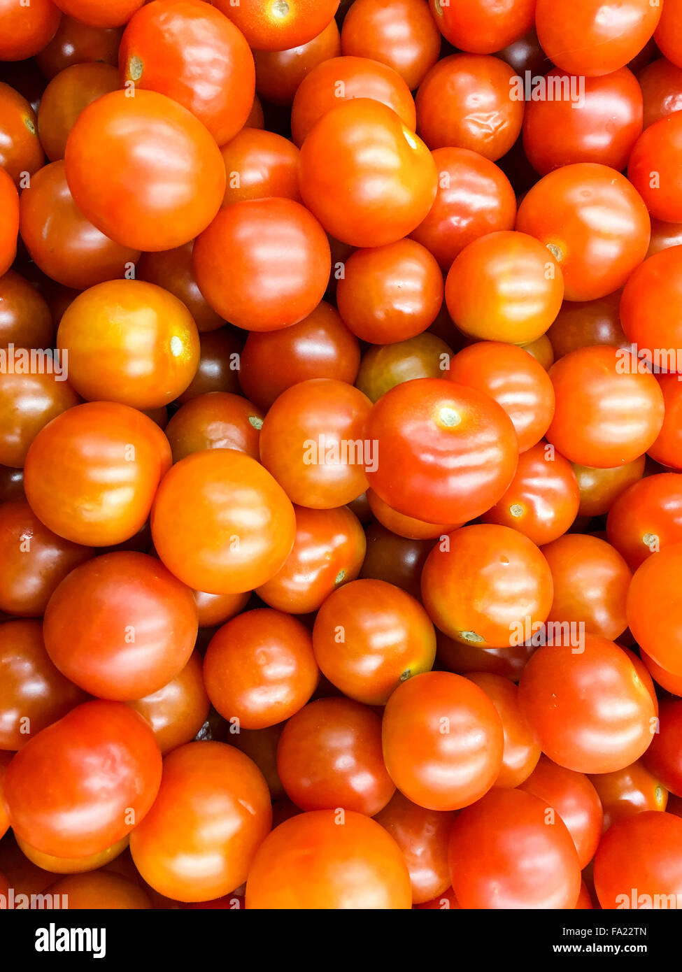 Rossi pomodori ciliegini Gruppo per la vendita nel mercato ortofrutticolo Foto Stock
