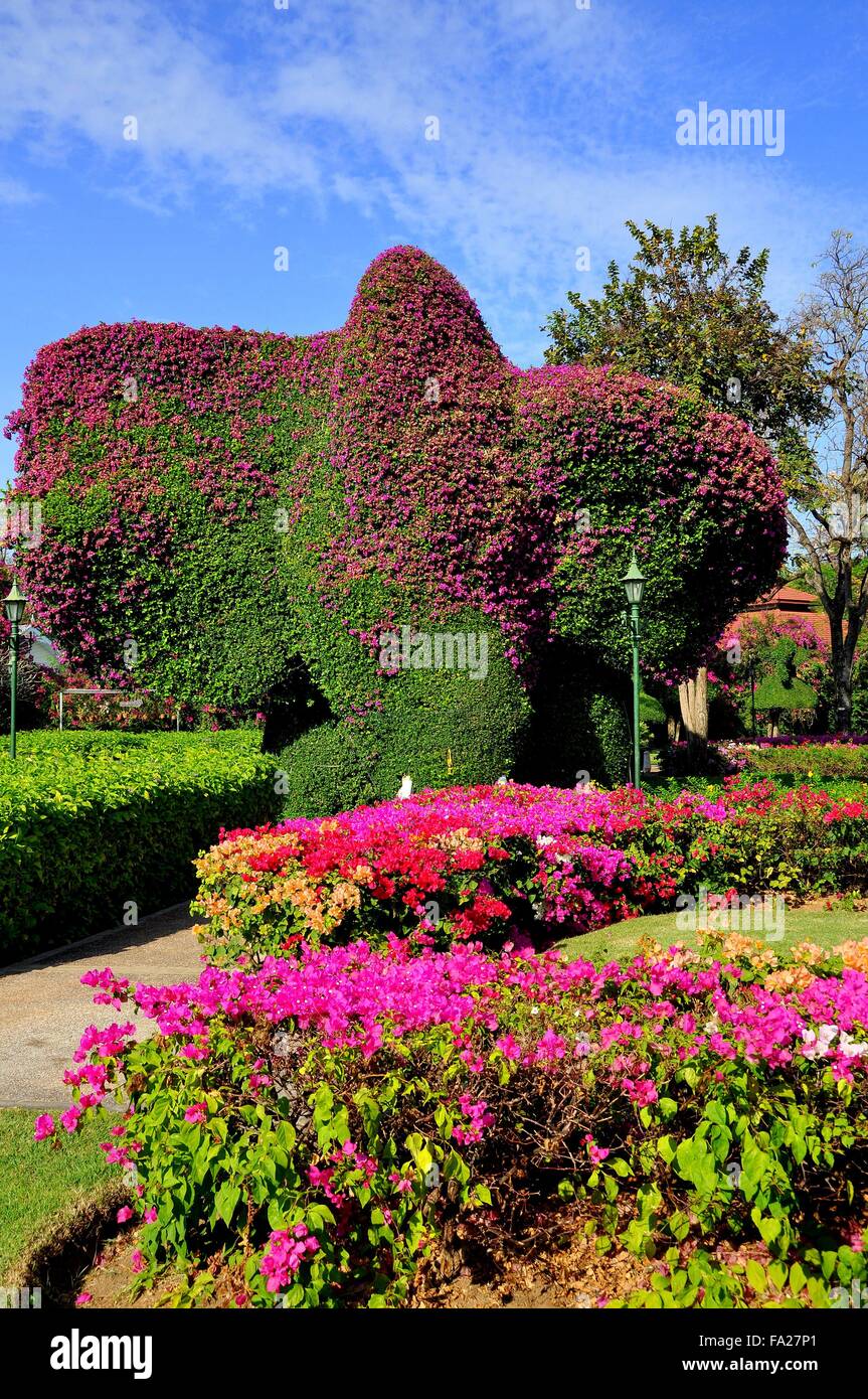 Hua Hin, Thailandia: Topary elephant ricoperti di fiori di Bouganville nei giardini del Sofitel Centara Grand Resort Hotel Foto Stock