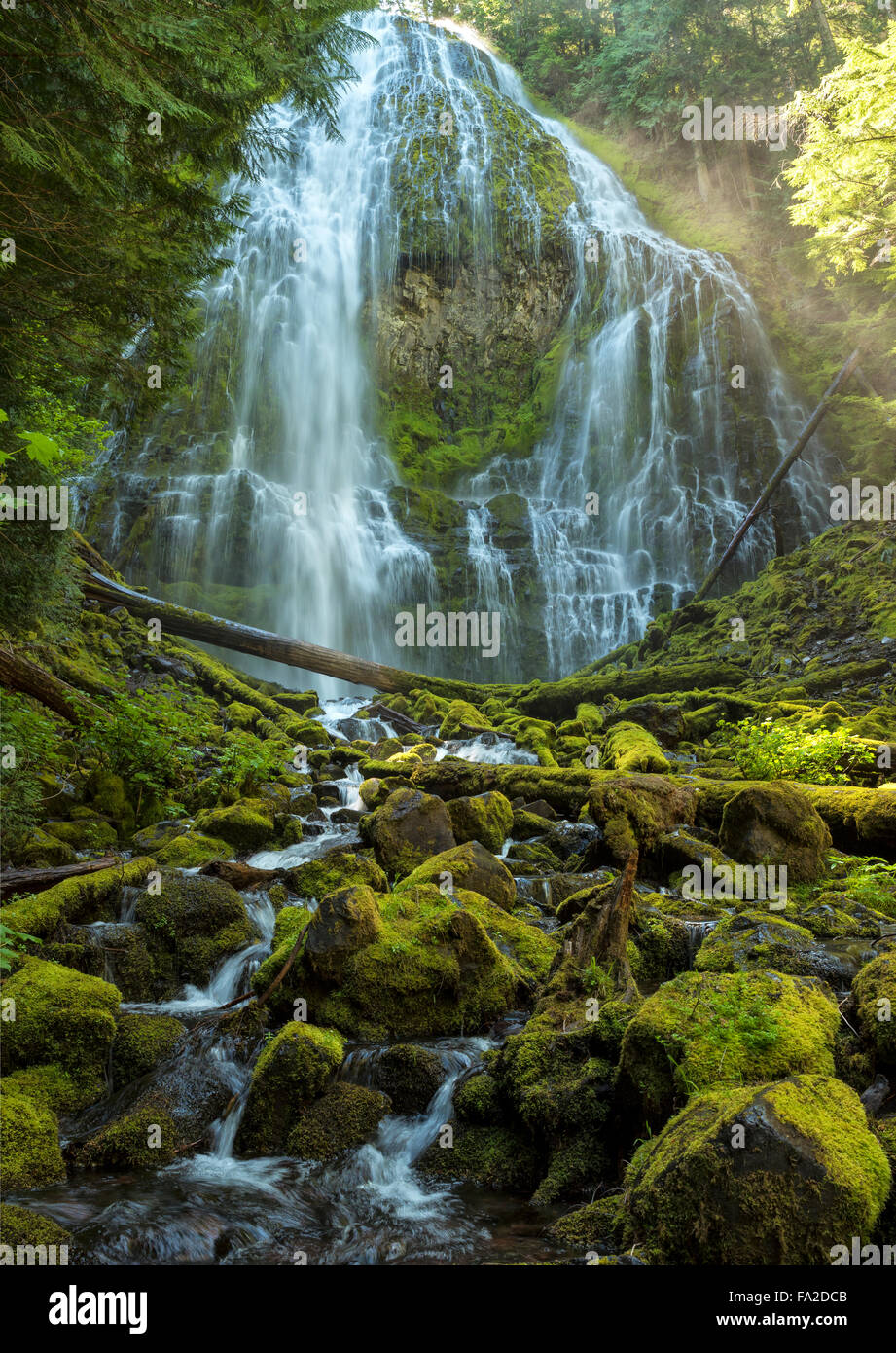 Il proxy cade nelle tre sorelle Wilderness Area Centrale Oregon, Willamette National Forest, Stati Uniti d'America Foto Stock