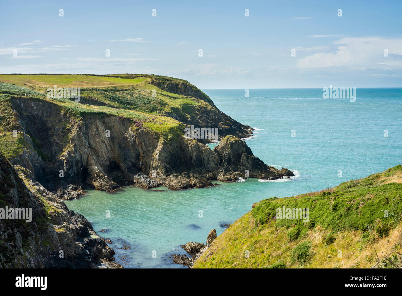 Vista da Pembrokeshire sentiero costiero di St Brides Bay, vicino a St David's, Pembrokeshire, Wales, Regno Unito Foto Stock