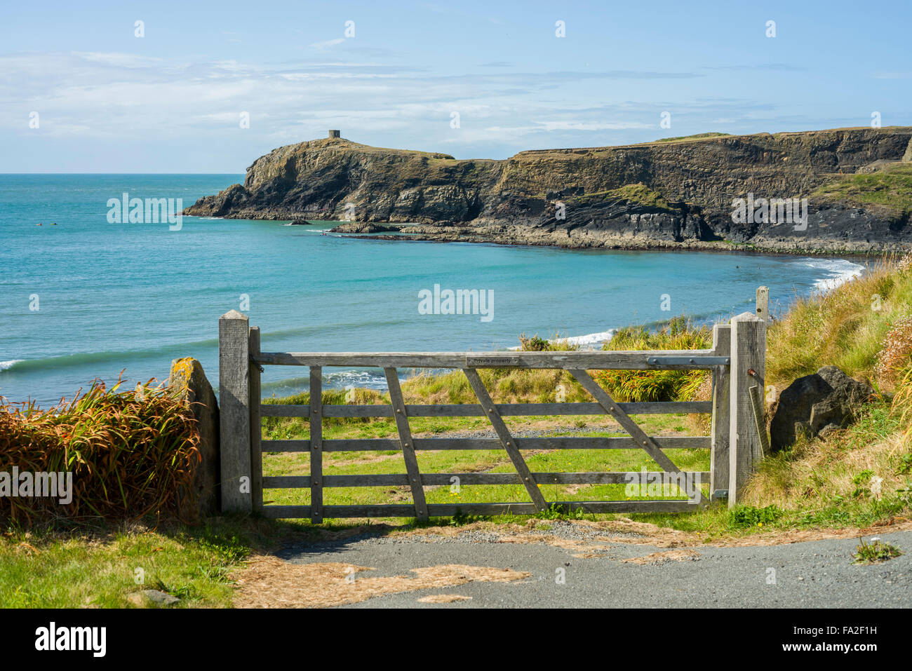 Vista da Pembrokeshire sentiero costiero di St Brides Bay e Abereiddy, vicino a St David's, Pembrokeshire, Wales, Regno Unito Foto Stock