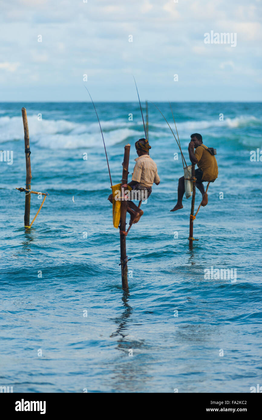 Un dello Sri Lanka stilt pescatori la cattura di un piccolo pesce penzolante e spostando alla fine della sua pole Foto Stock