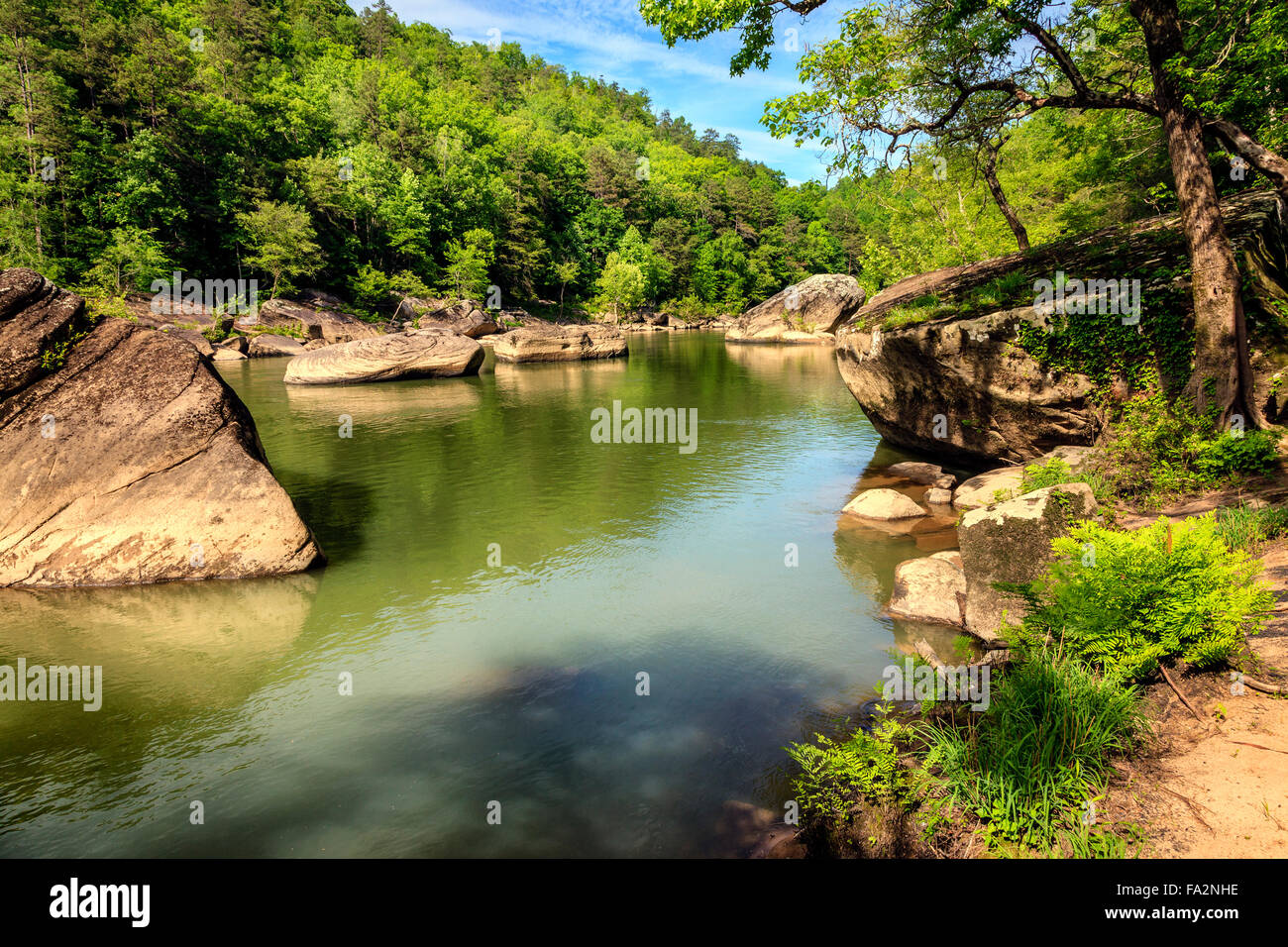 Vista panoramica di Cumberland River in Daniel Boone National Forest nel sud del Kentucky Foto Stock