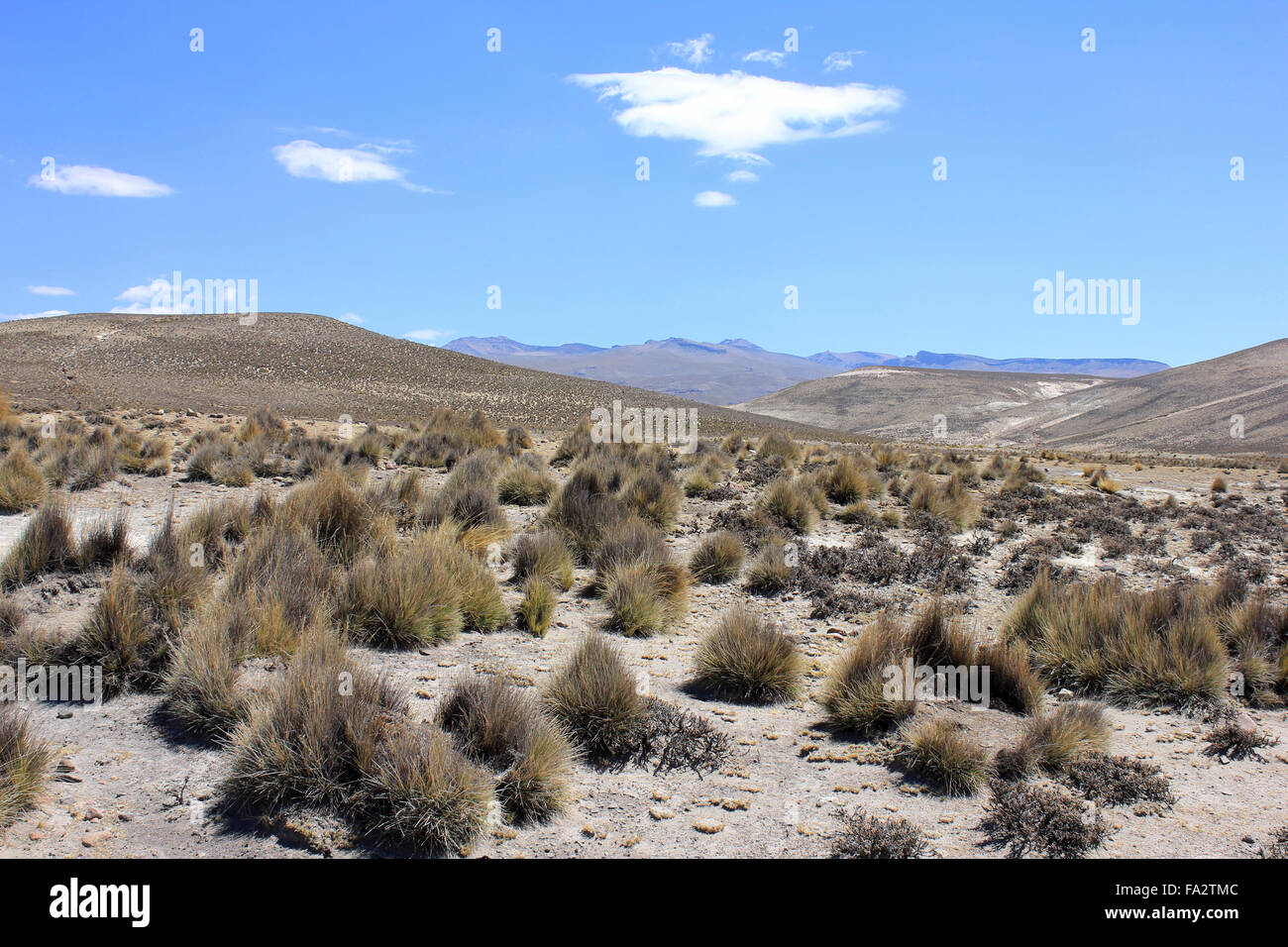 Altiplano peruviano Foto Stock