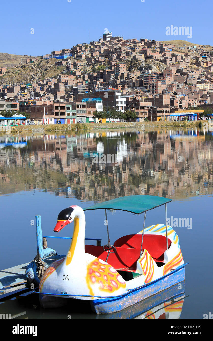 Pedlo cigno sul lago Titicaca, Puno Foto Stock