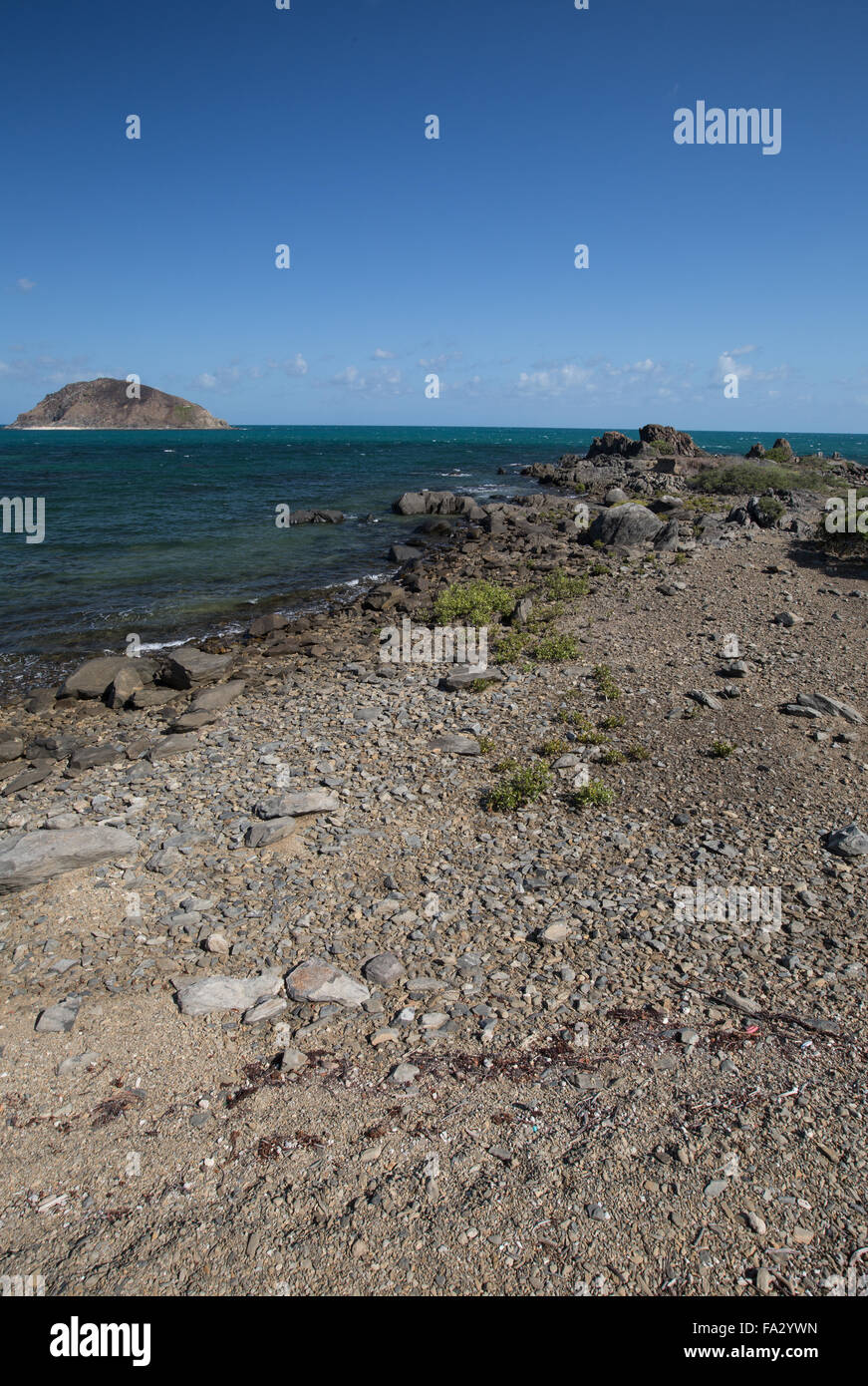 Grande barriera corallina costa a sud di Cooktown Foto Stock