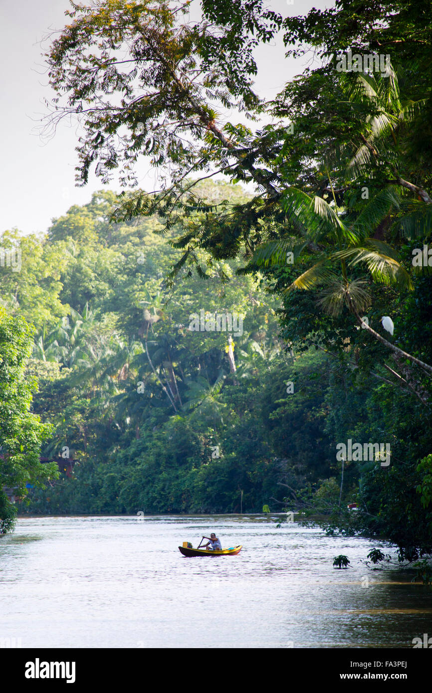 Barca su un torrente nell Amazzonia brasiliana Foto Stock