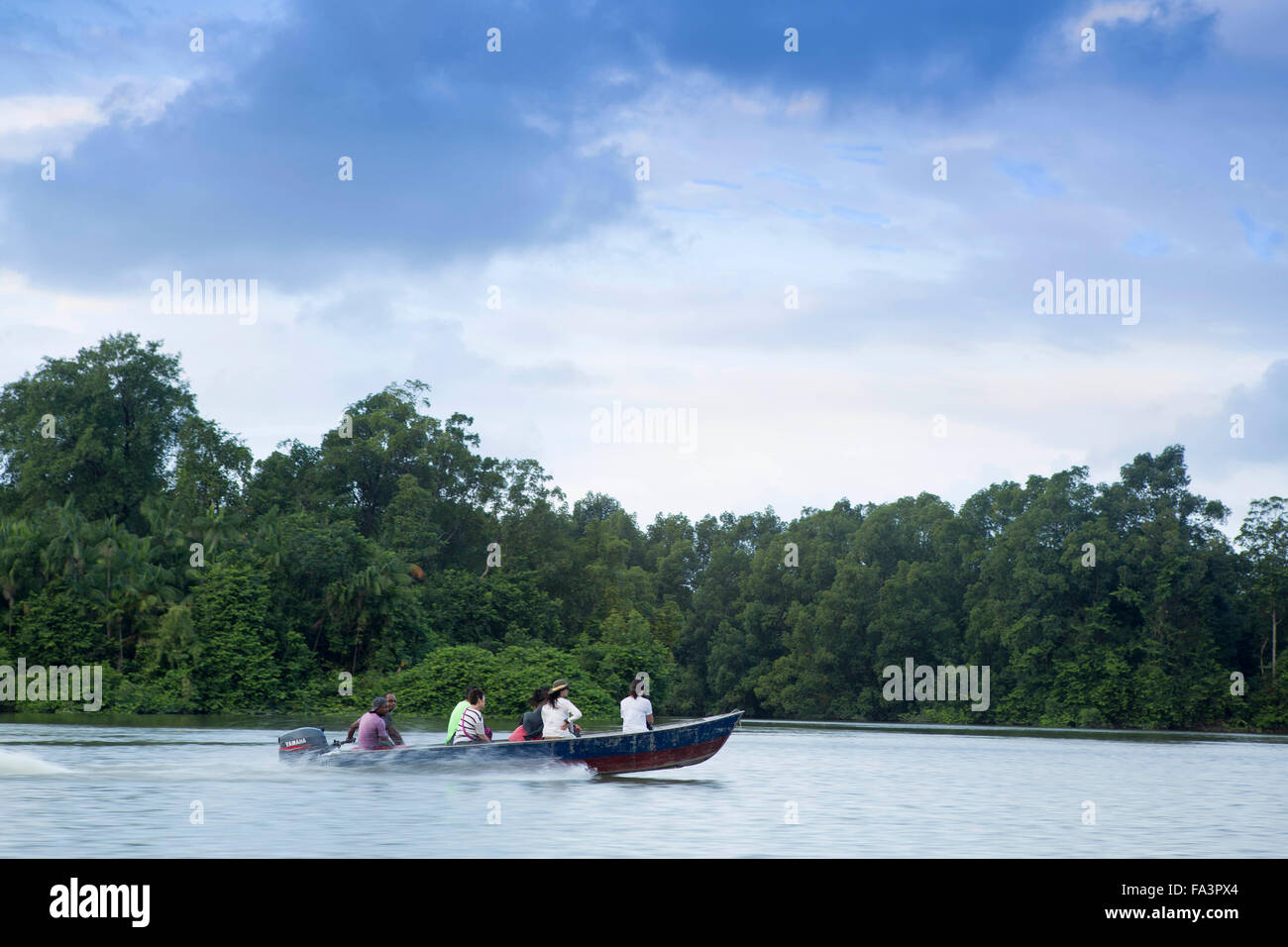 Barca su un torrente nell Amazzonia brasiliana Foto Stock