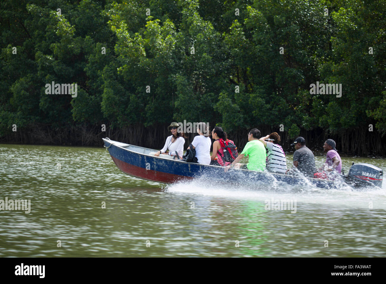 Barca su un torrente nell Amazzonia brasiliana Foto Stock