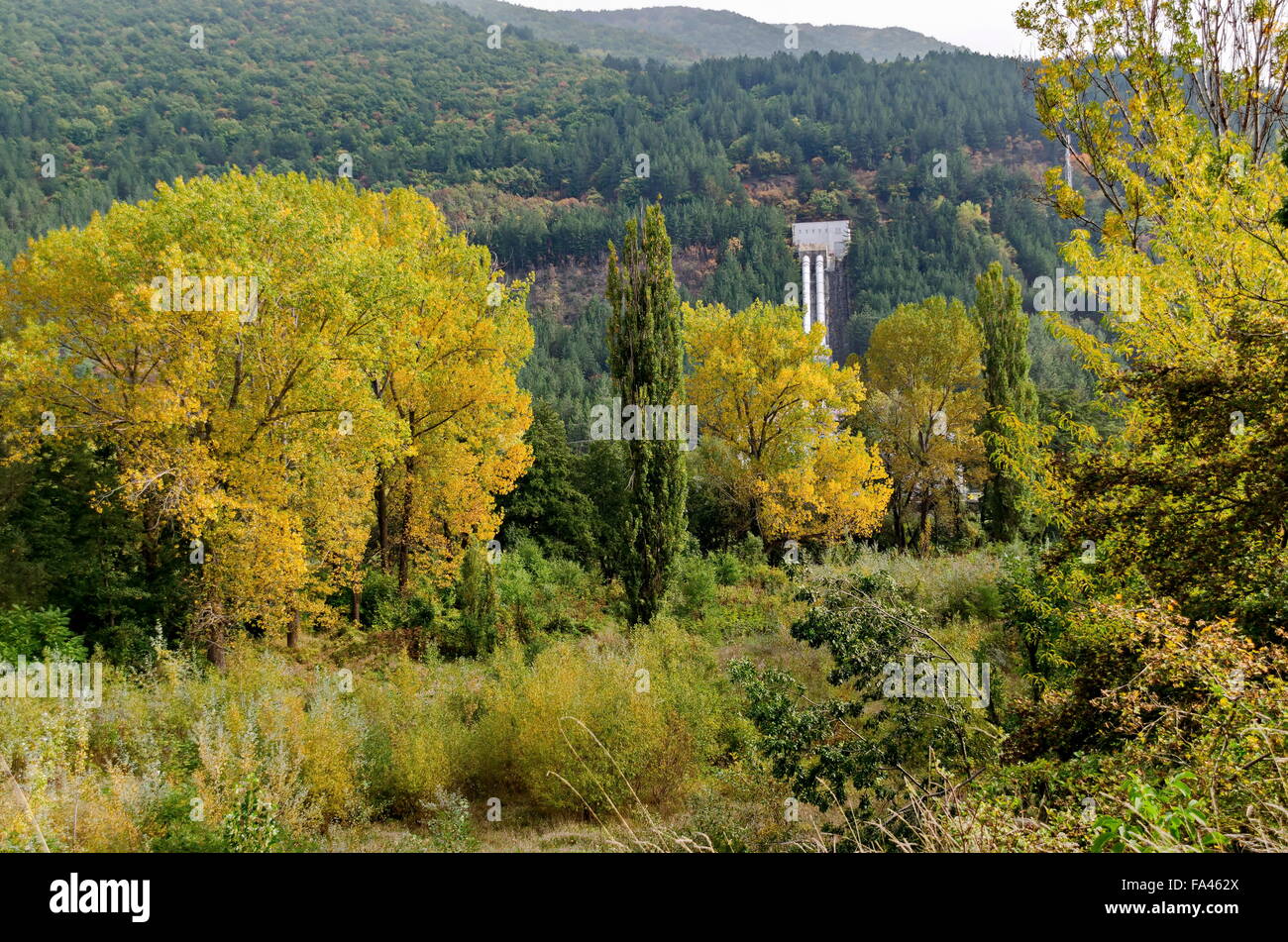 Paesaggio da VEZ Kokaliane in autunno, Bulgaria Foto Stock