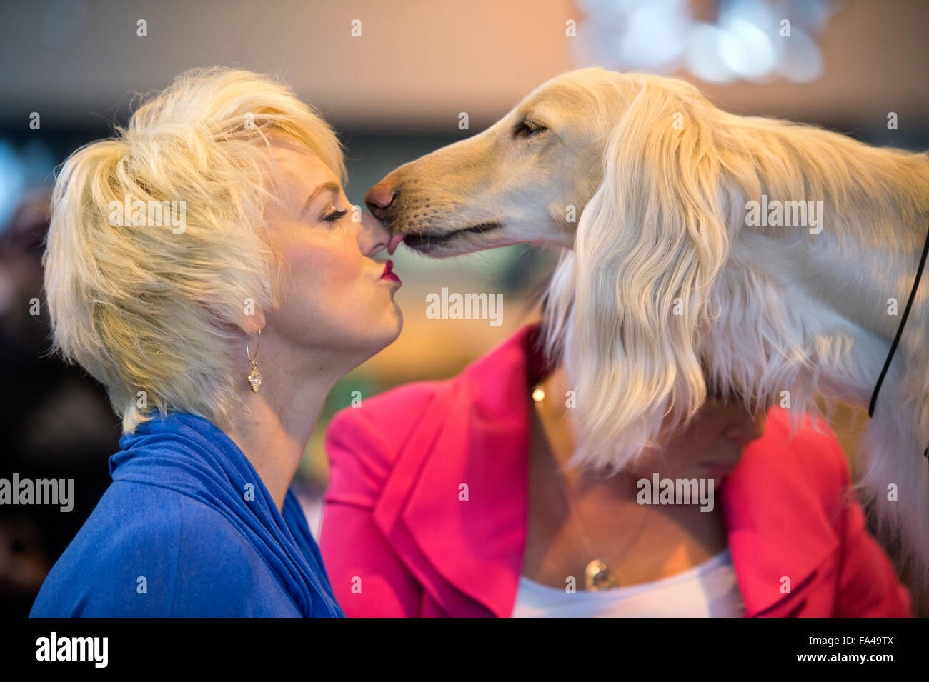 Il Crufts dog show al NEC di Birmingham - un cane amante incontra un segugio afgano con il nome del tuo animale domestico 'Marcus' prima di mostrare Foto Stock