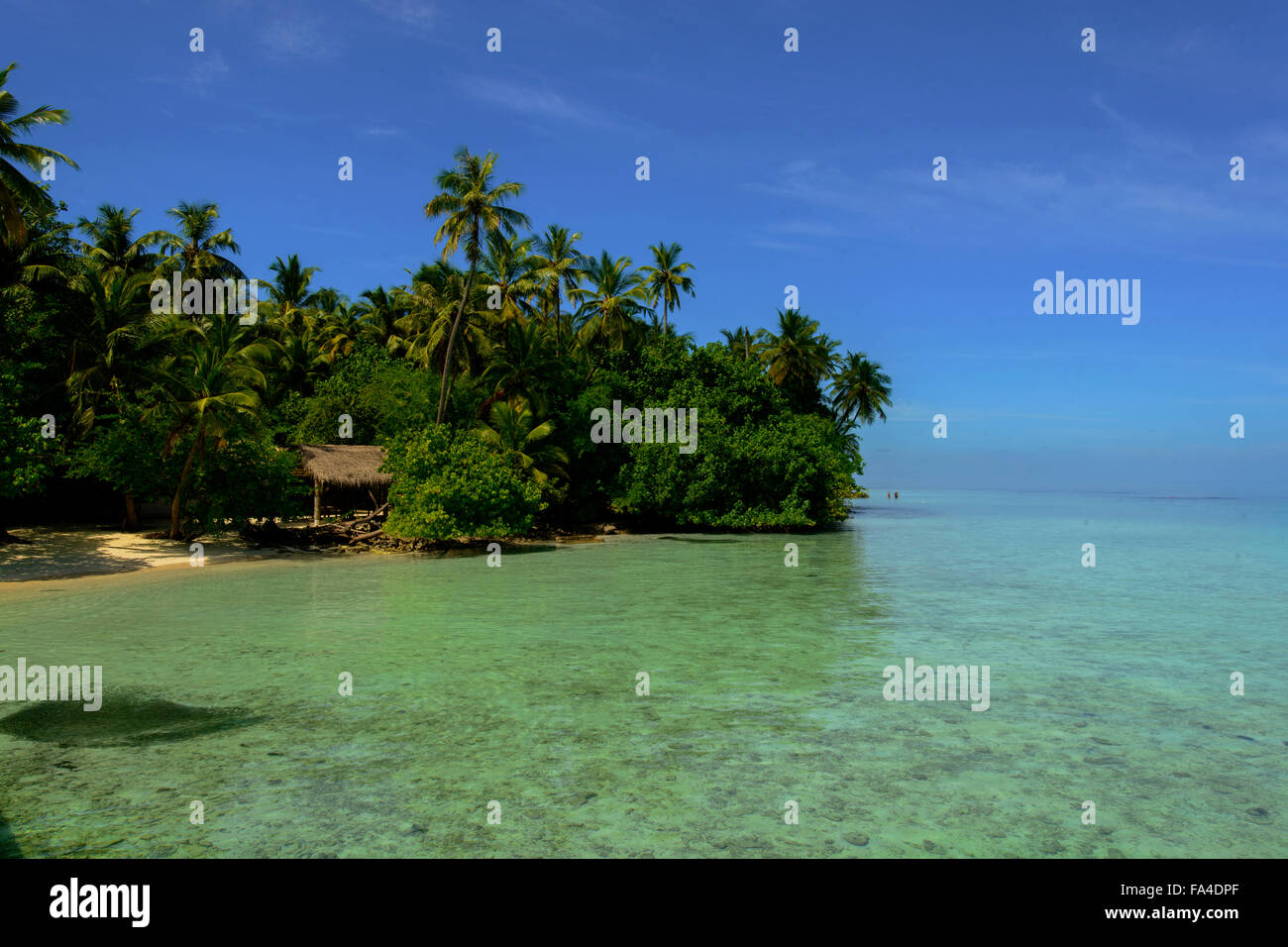 Isola Biyahdoo, Maldive, Oceano Indiano. Foto Stock