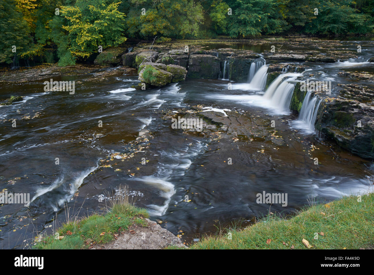 Tomaia Aysgarth Falls - Yorkshire Dales, England, Regno Unito Foto Stock