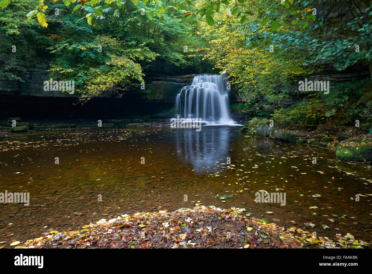 Calderone Falls - West Burton Waterfall - Yorkshire Dales, England, Regno Unito Foto Stock