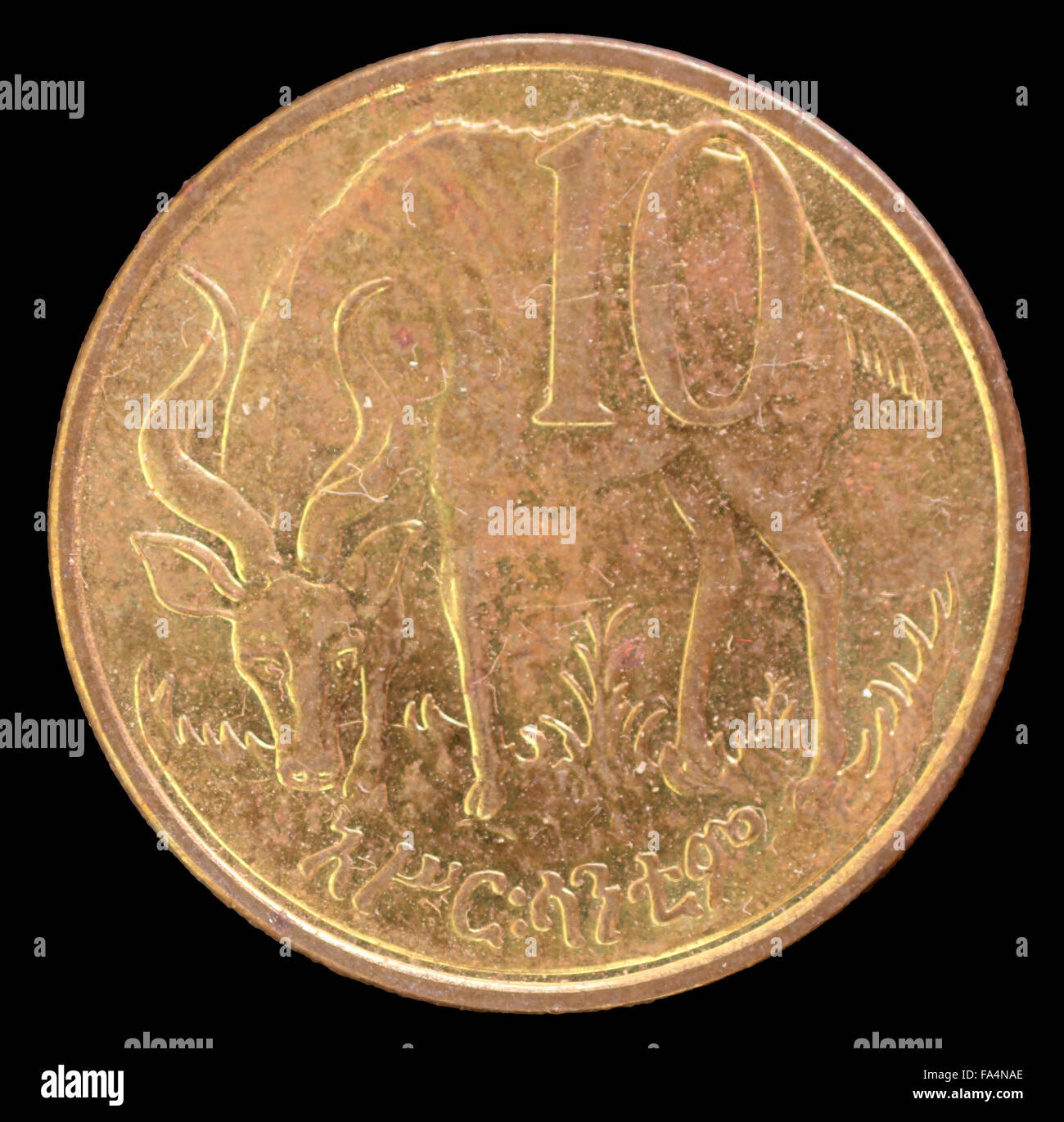 La faccia di coda di 10 Birr coin, rilasciato dall Etiopia e raffigurante una montagna Nyala antilopi. Immagine isolata su sfondo nero Foto Stock