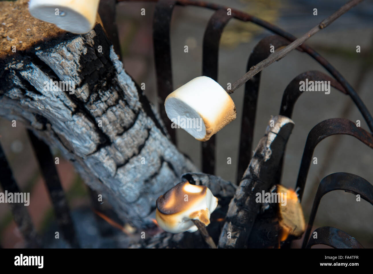 Marshmellows a fuoco Foto Stock