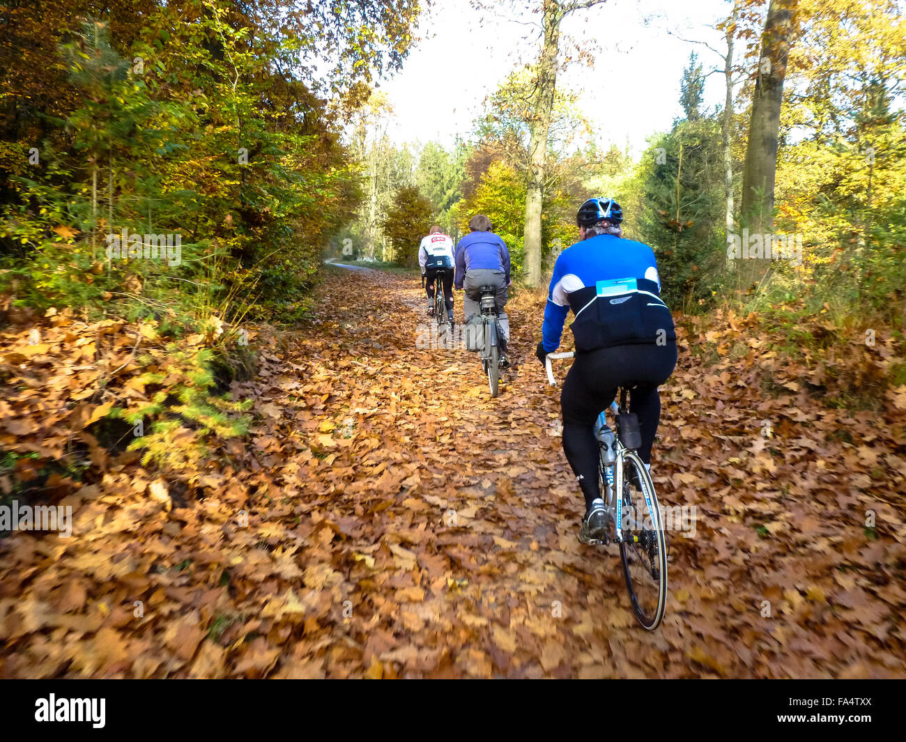 I ciclisti su racebikes in forst a cadere in Olanda Foto Stock