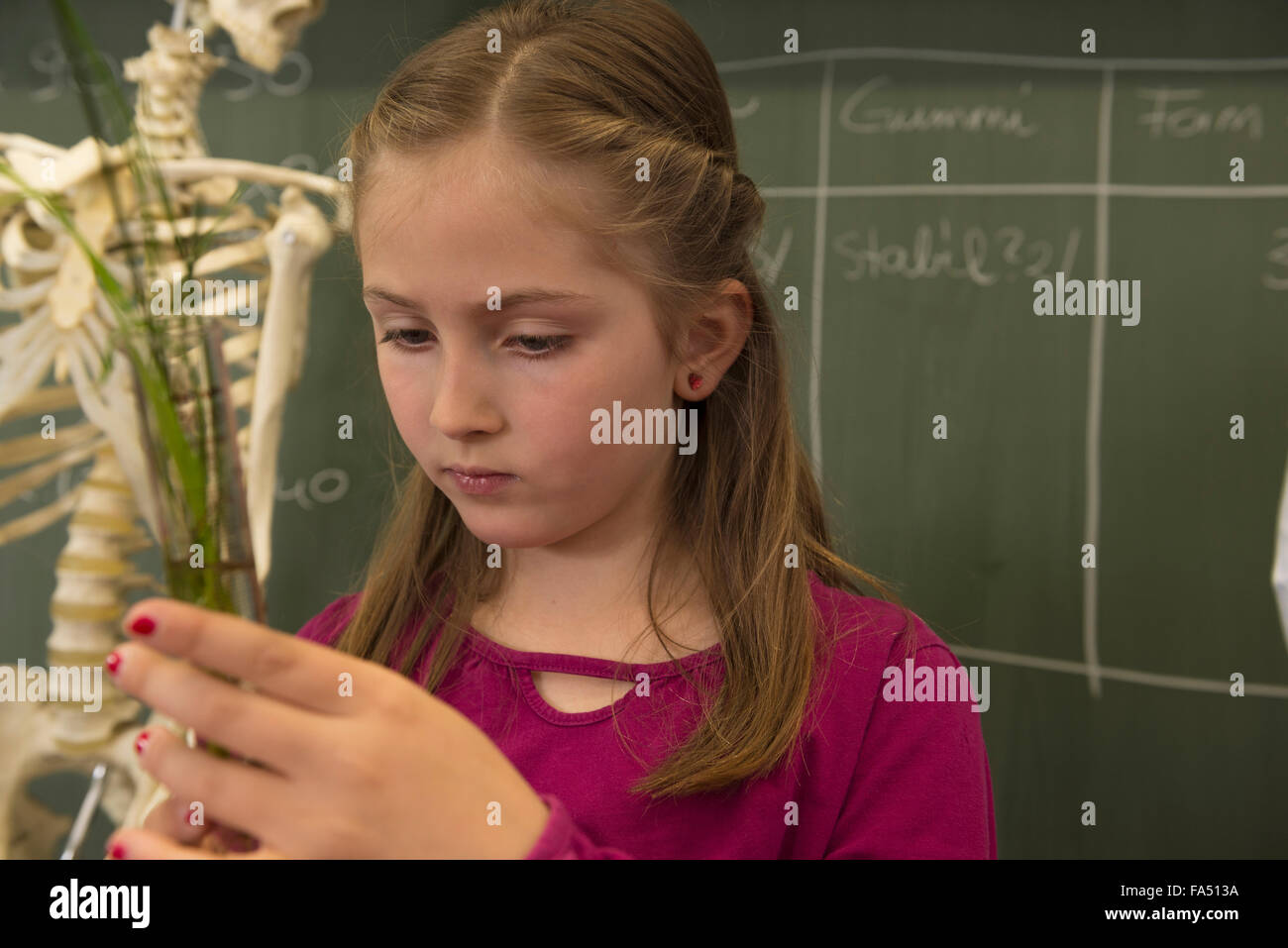 Close-up di un schoolgirl tenendo una provetta che contiene erbe aromatiche in aula, Fürstenfeldbruck, Baviera, Germania Foto Stock