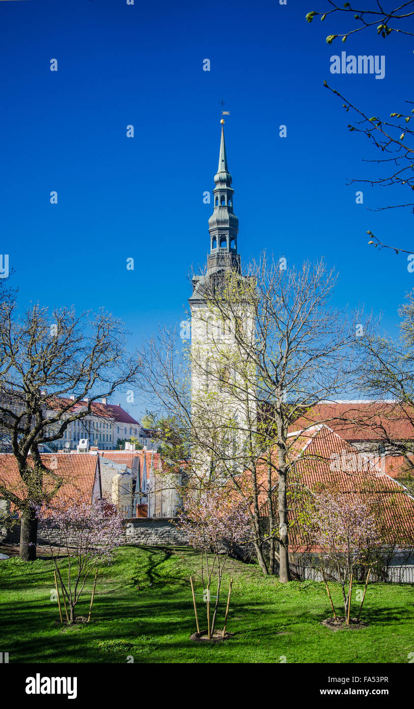 Vista del vecchio Tallinn splendida giornata di primavera Foto Stock