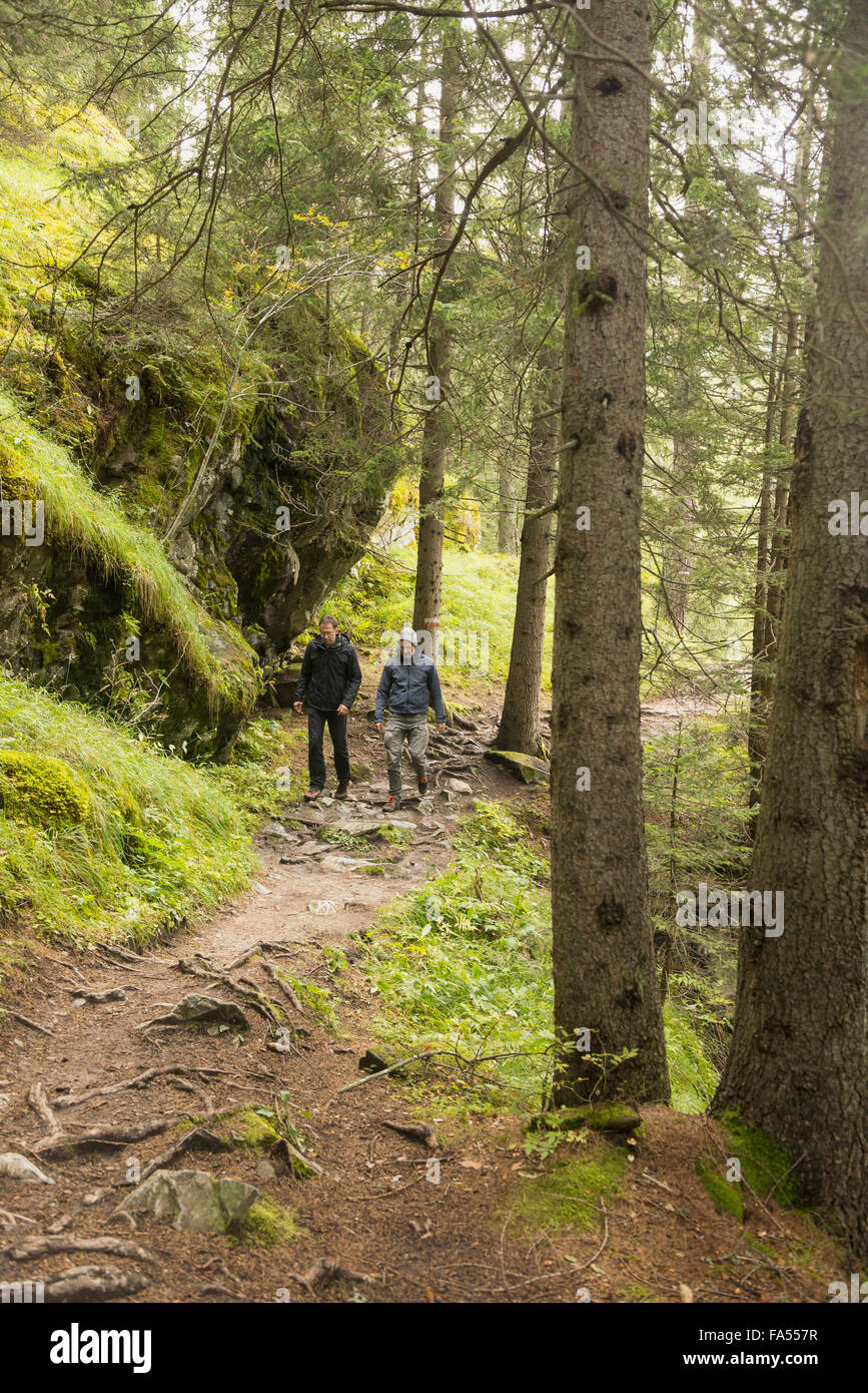 Due coppia gli escursionisti a piedi nella foresta, Alpi austriache, Carinzia, Austria Foto Stock