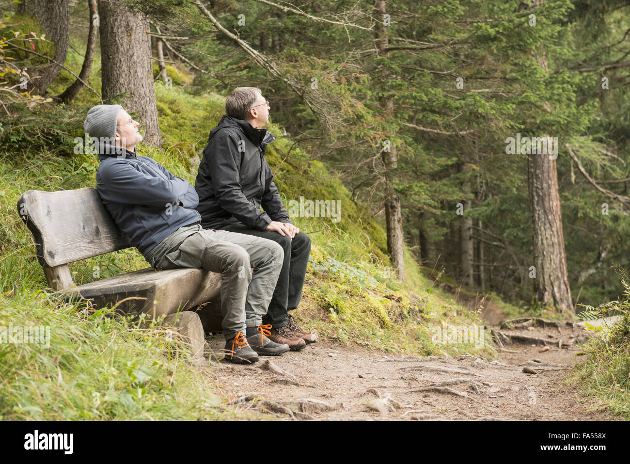 Due escursionisti matura in appoggio sul banco in foresta, Alpi austriache, Carinzia, Austria Foto Stock