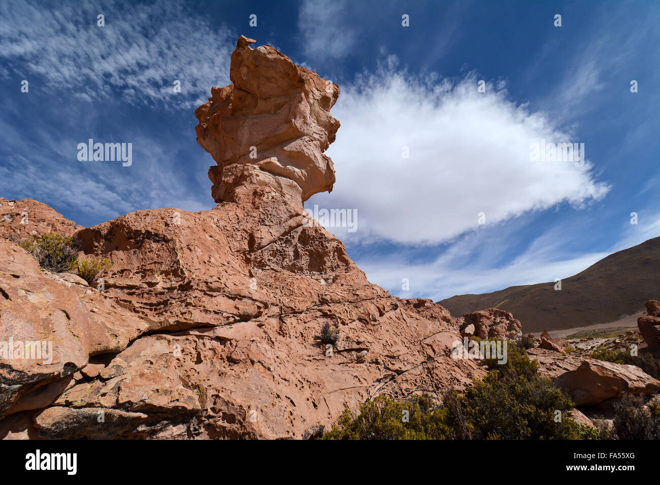 Roccia erosa pinnacle, valle de las rocas, valle rocciosa, uyuni, altiplano, triangolo di confine, Bolivia, Argentina, Cile Foto Stock