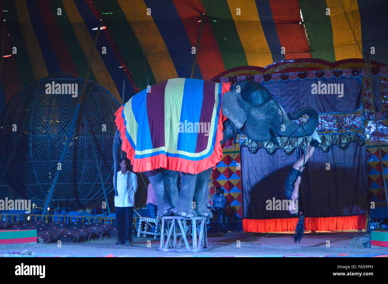 Kolkata, India. Xxi Dec, 2015. Artisti eseguono durante la mostra speciale di Ajanta Circus. In India sono passati i giorni quando circus usato per essere un enorme folla-estrattore. A basso costo e un sano divertimento. Circus è gradualmente svanire o può essere definita come un morente industria dovuti all'atteggiamento indifferente del governo. Inoltre vi è la mancanza di interesse da parte dei gen-next. Credito: Tanmoy Bhaduri/Pacific Press/Alamy Live News Foto Stock