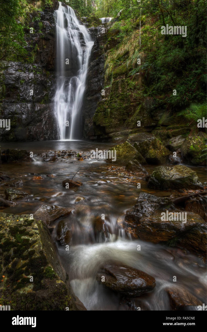Cascata della foresta pluviale naturale cascata Foto Stock