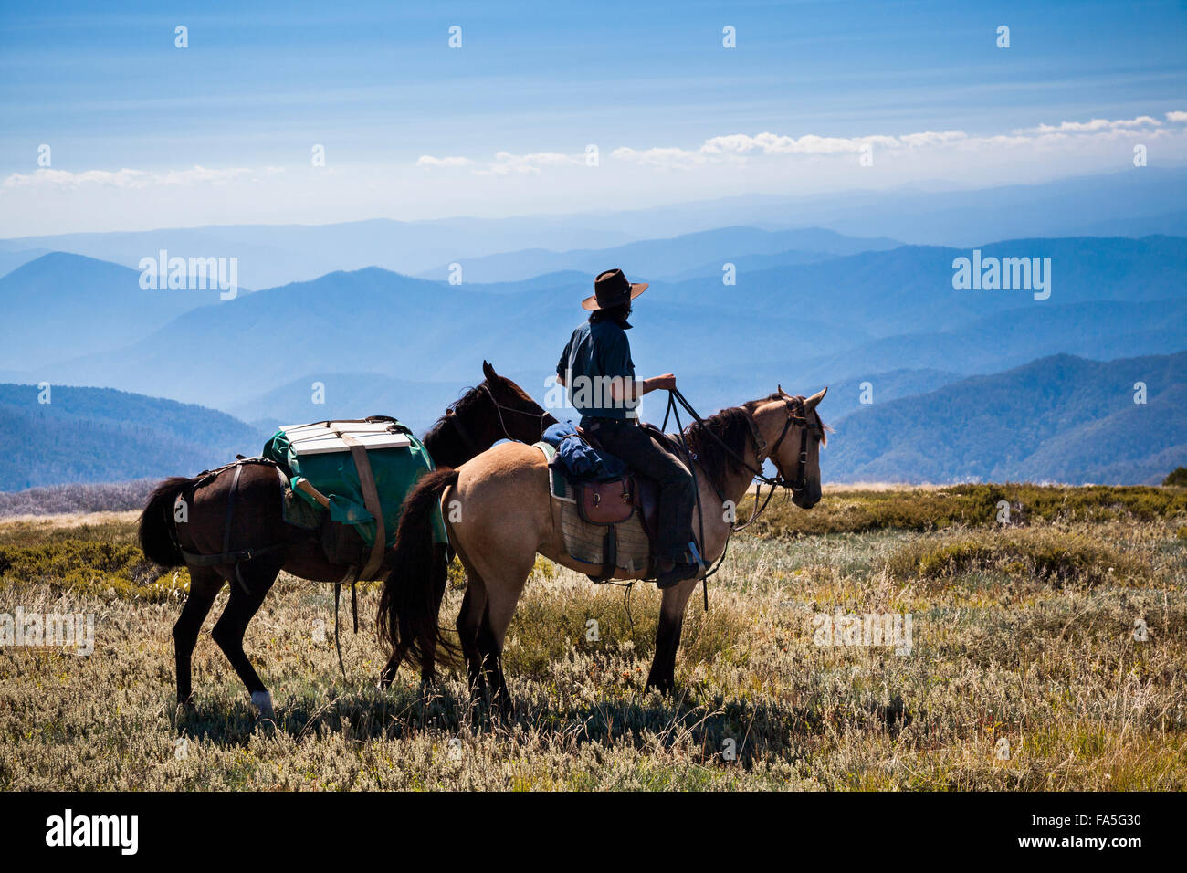 Australian Stockman, Lin Baird, approcci inferno Gap nei pressi del Monte Bogong in stile vittoriano paese alta. Foto Stock