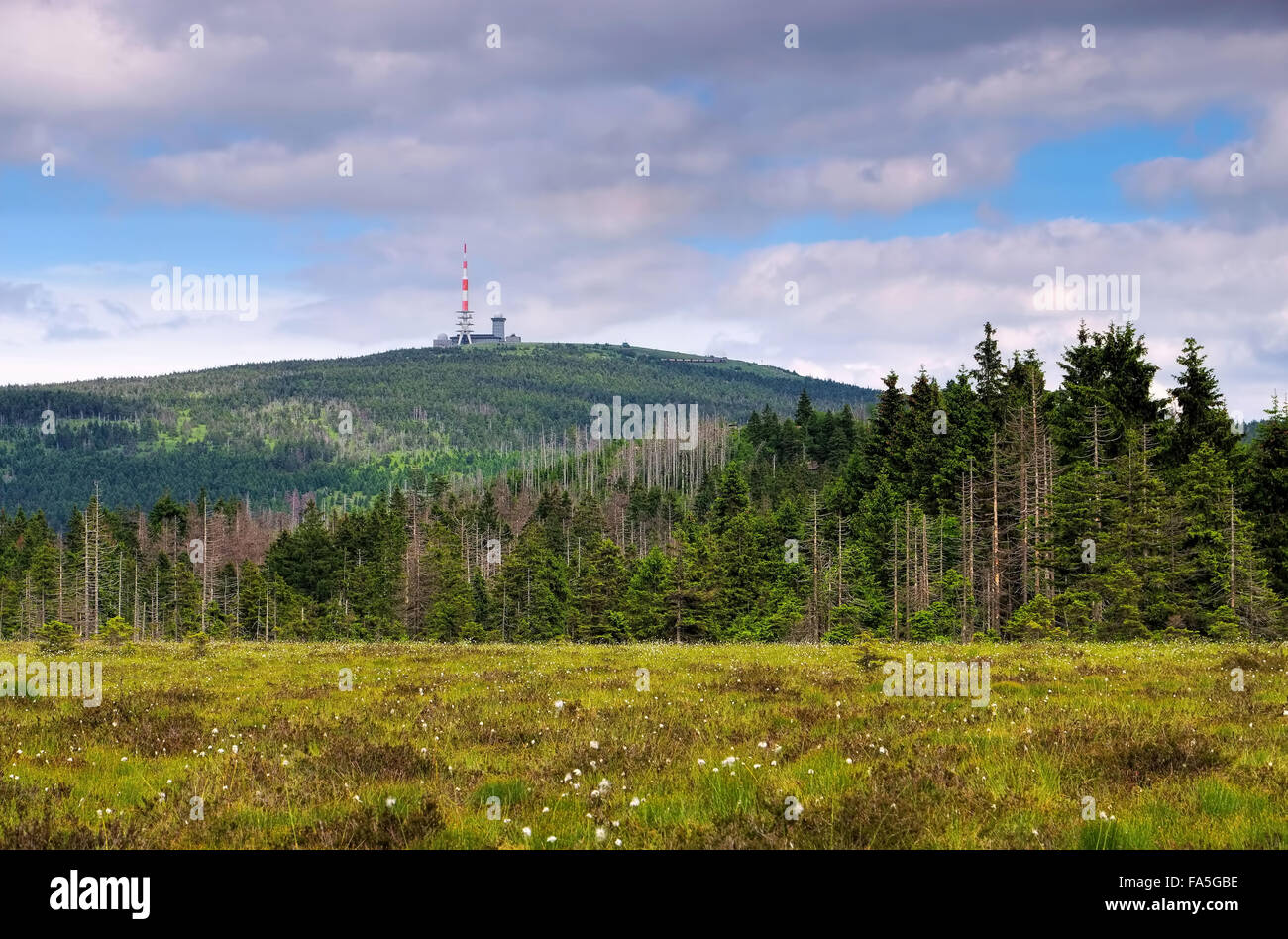 Brocken 01 Foto Stock