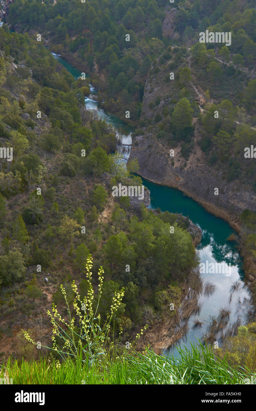 Villalba de la Sierra, Jucar River Gorge, Serrania de Cuenca parco naturale, Provincia Cuenca, Castilla La Mancha, in Spagna. Foto Stock