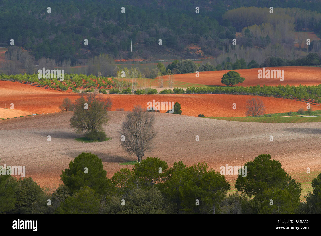 Villalba de la Sierra, paesaggio, Serrania de Cuenca parco naturale, Provincia Cuenca, Castilla La Mancha, in Spagna. Foto Stock