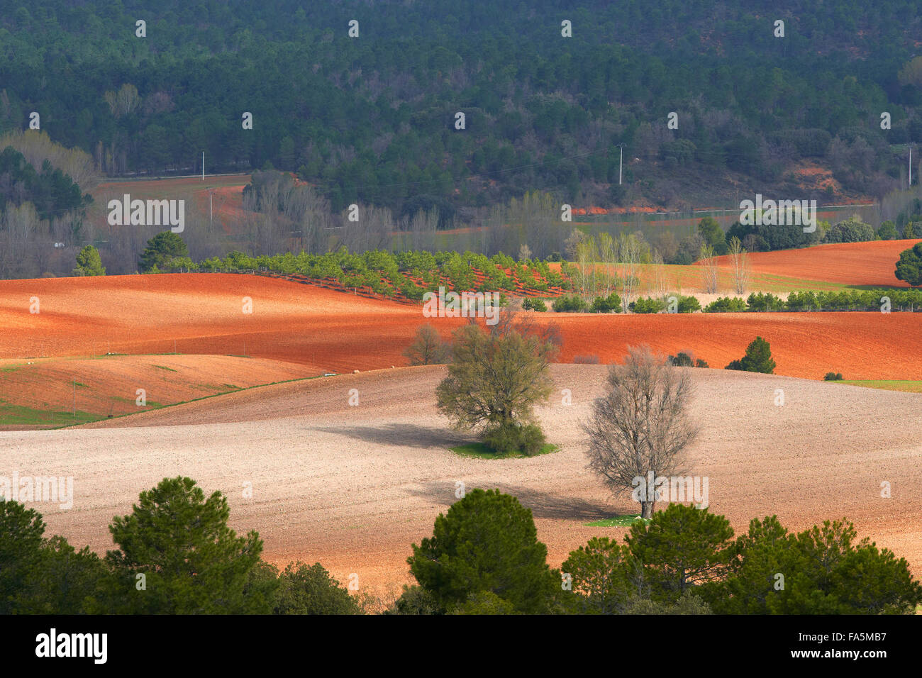 Villalba de la Sierra, paesaggio, Serrania de Cuenca parco naturale, Provincia Cuenca, Castilla La Mancha, in Spagna. Foto Stock