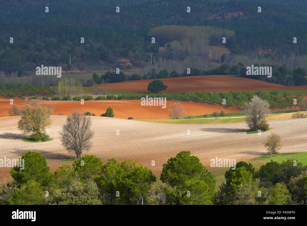 Villalba de la Sierra, paesaggio, Serrania de Cuenca parco naturale, Provincia Cuenca, Castilla La Mancha, in Spagna. Foto Stock