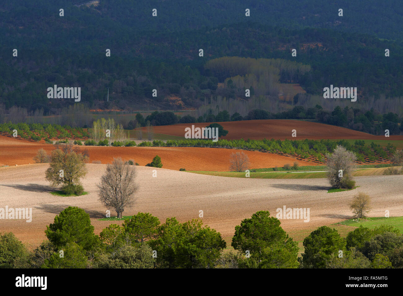 Villalba de la Sierra, paesaggio, Serrania de Cuenca parco naturale, Provincia Cuenca, Castilla La Mancha, in Spagna. Foto Stock
