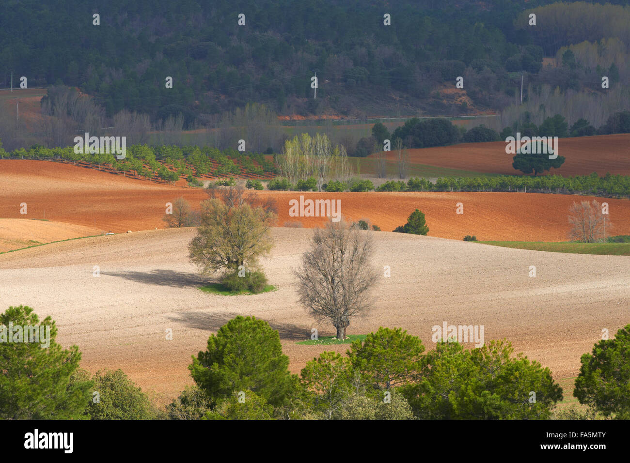Villalba de la Sierra, paesaggio, Serrania de Cuenca parco naturale, Provincia Cuenca, Castilla La Mancha, in Spagna. Foto Stock