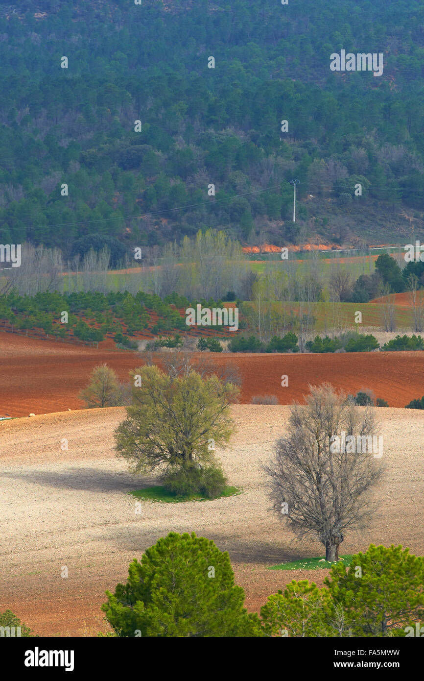 Villalba de la Sierra, paesaggio, Serrania de Cuenca parco naturale, Provincia Cuenca, Castilla La Mancha, in Spagna. Foto Stock
