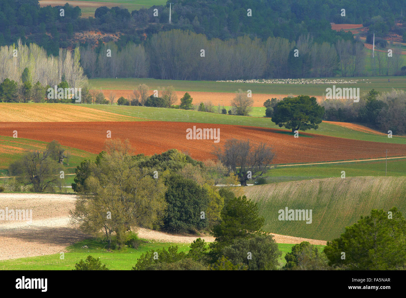 Villalba de la Sierra, paesaggio, Serrania de Cuenca parco naturale, Provincia Cuenca, Castilla La Mancha, in Spagna. Foto Stock