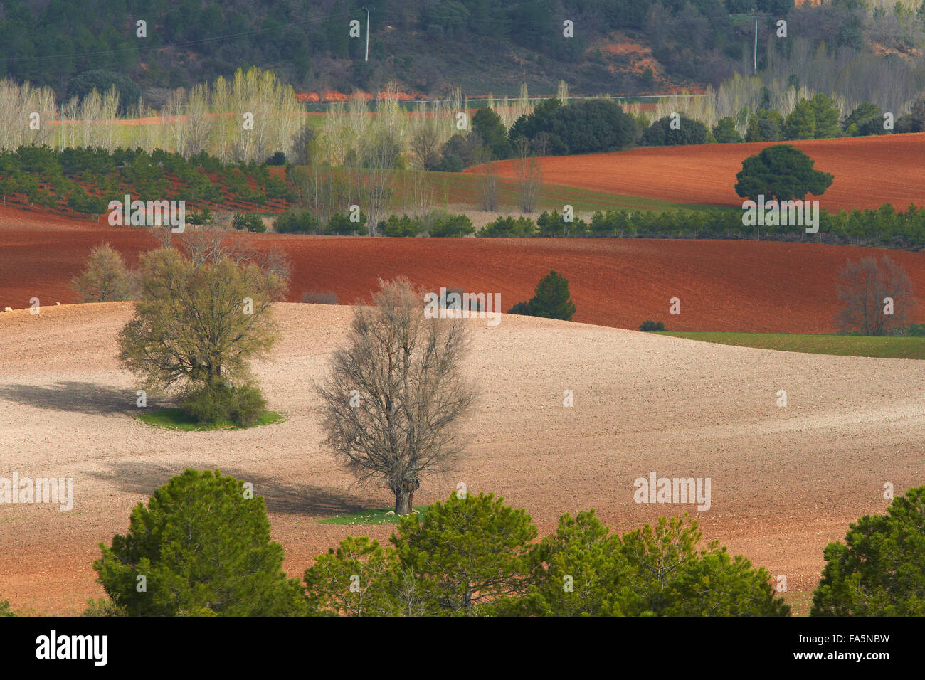 Villalba de la Sierra, paesaggio, Serrania de Cuenca parco naturale, Provincia Cuenca, Castilla La Mancha, in Spagna. Foto Stock