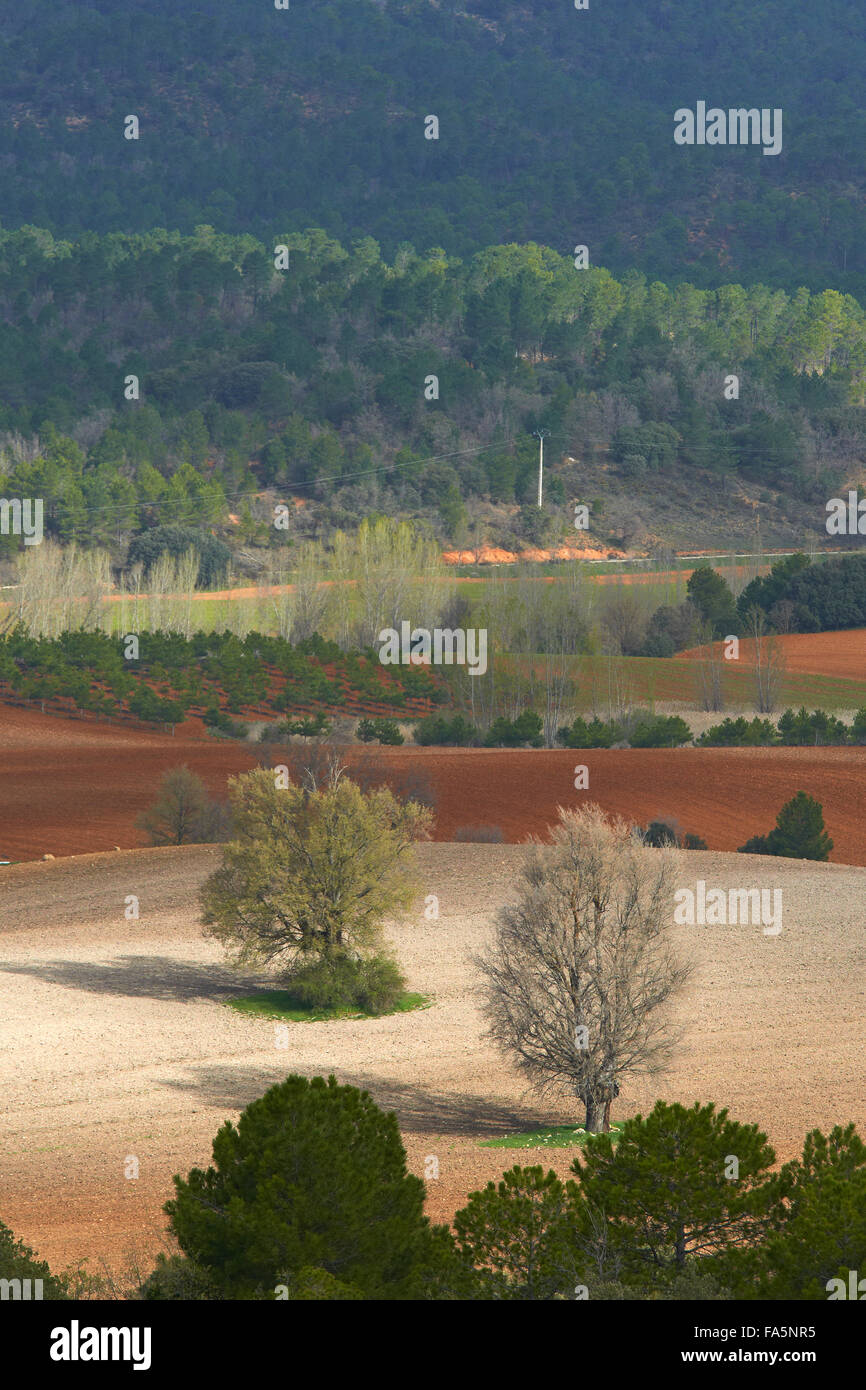Villalba de la Sierra, paesaggio, Serrania de Cuenca parco naturale, Provincia Cuenca, Castilla La Mancha, in Spagna. Foto Stock