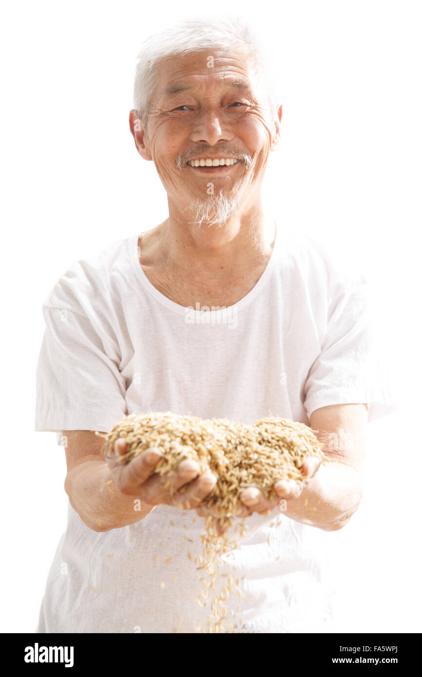 Il vecchio gli agricoltori tenendo il riso Foto Stock